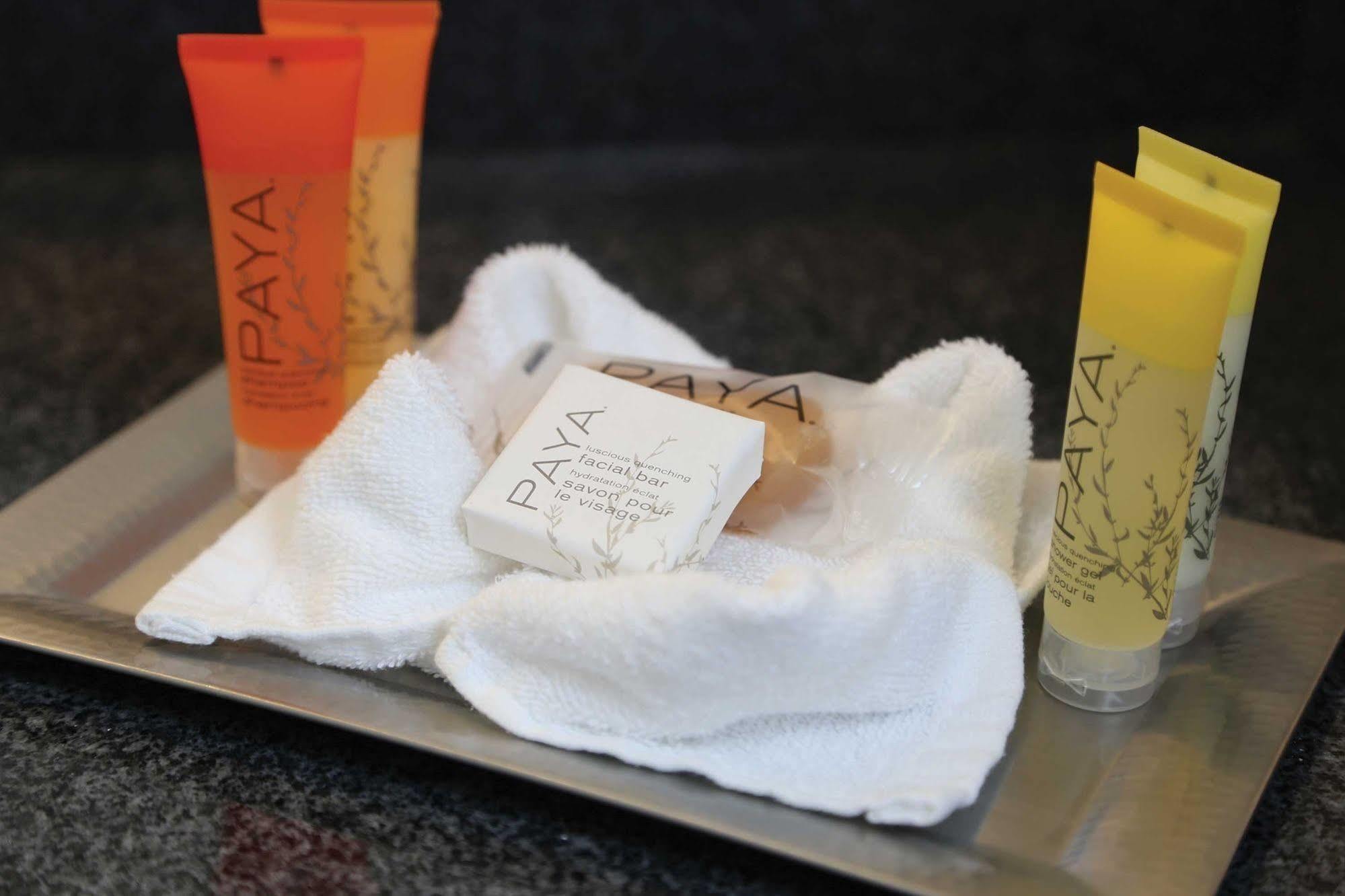Surfbreak Virginia Beach Oceanfront, Ascend Hotel Collection Zewnętrze zdjęcie